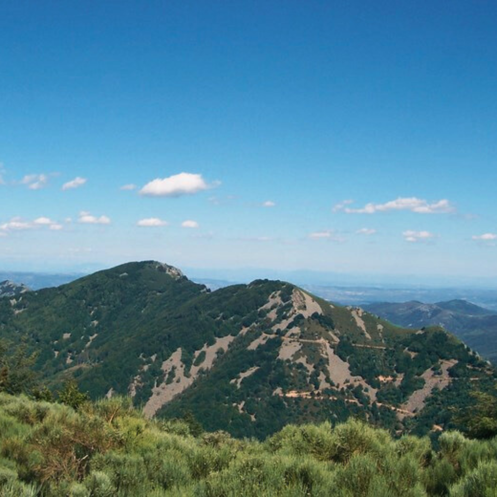 Massif du Tarnague